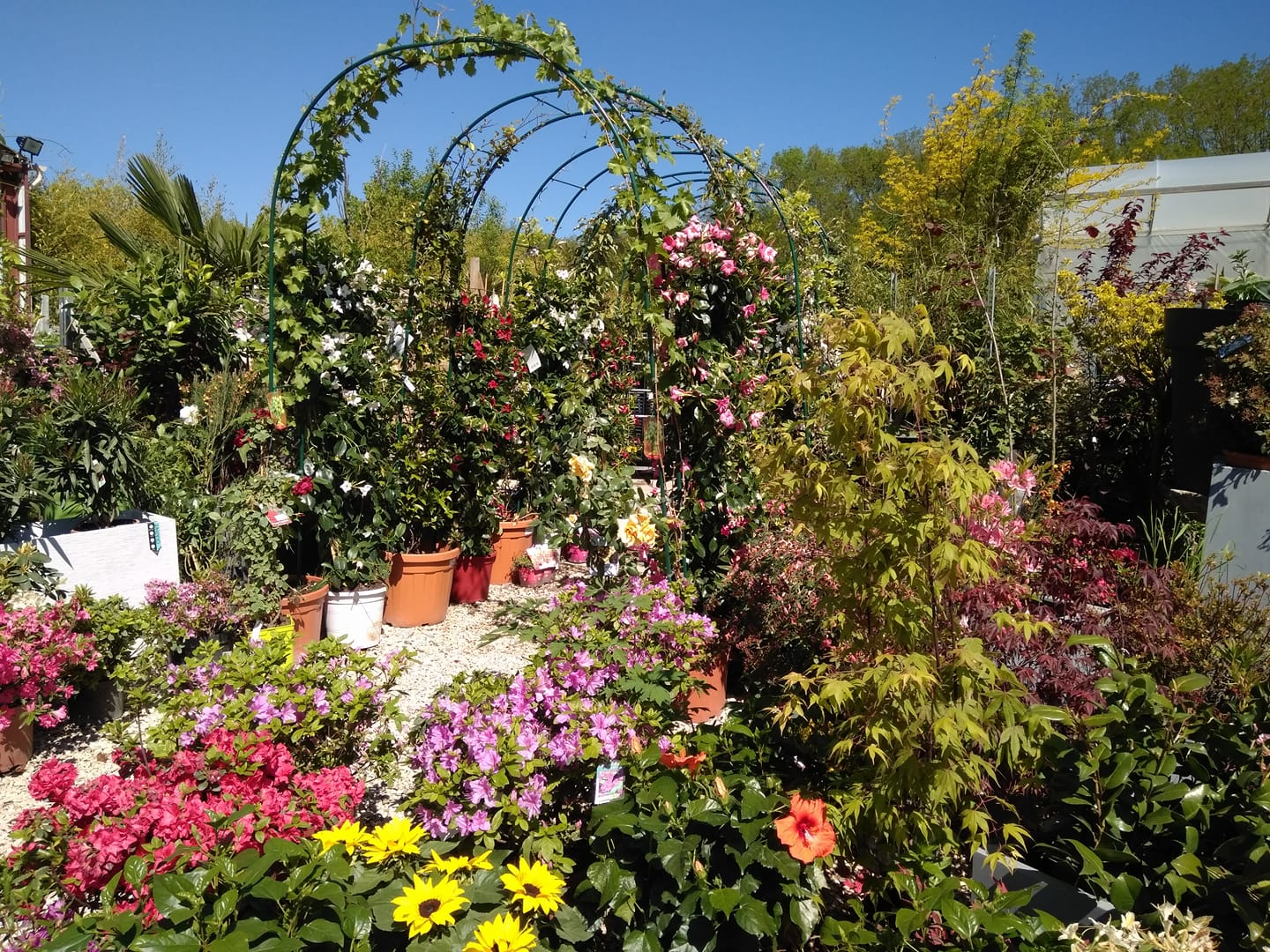 Idees_amanements_jardins_-_Pepiniere_du_Plessis_Luzarches01 - Pepinieres du Plessis-Luzarches